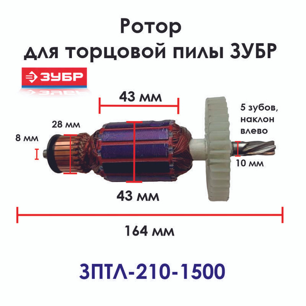 Ротор для торцовочной пилы ЗУБР ЗПТК-210-1500 купить на OZON по низкой ...