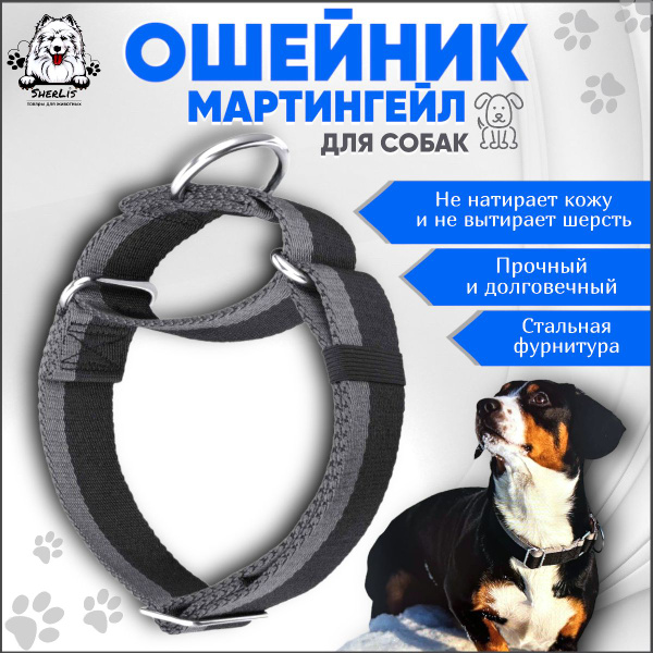 Ошейник мартингейл (полуудавка) для собак средних и больших пород ...