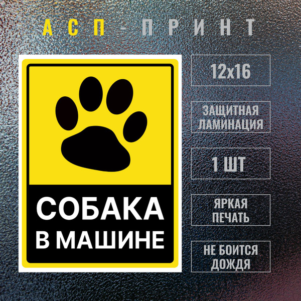 Наклейка "Собака в машине" 12x16 см, 1 штука / Наклейка на заднее ...