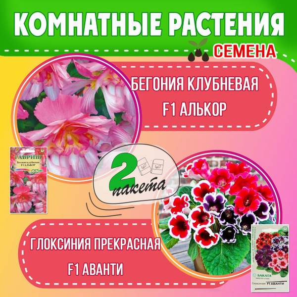 Плодовые разные, Разнообразные комнатные комнатные растения1 - купить ...