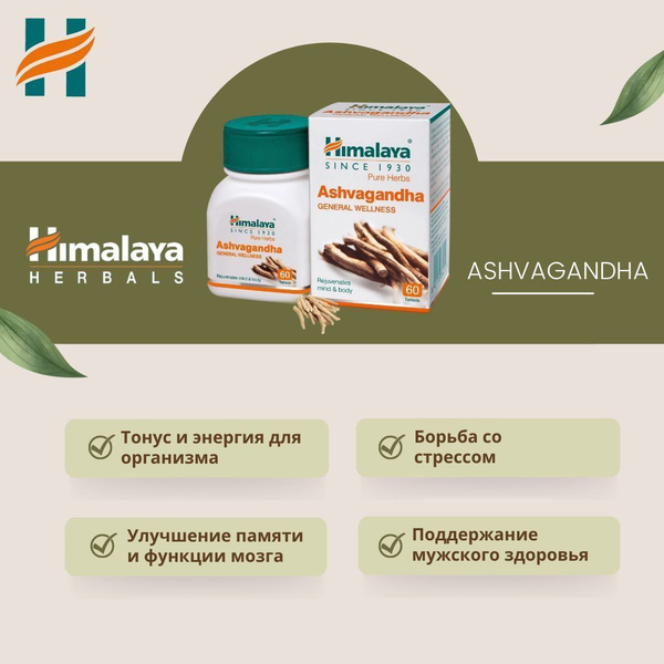 Ashvagandha (Ашвагандха) - жизненная сила, потенция, антистресс, баланс ...