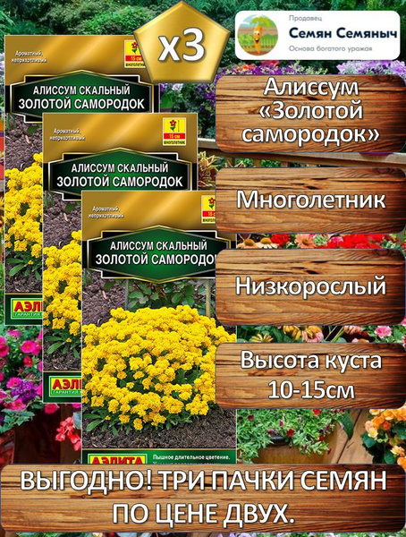 Алиссумы Аэлита Алиссум 1 - купить по выгодным ценам в интернет ...