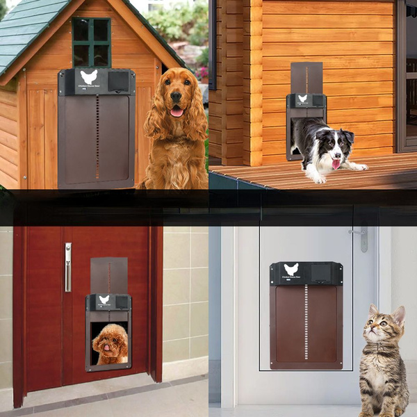 Светочувствительные автоматические двери курятника - купить с доставкой ...