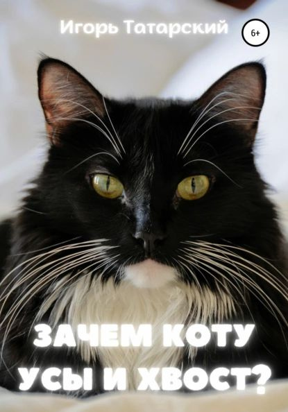 Зачем усы коту