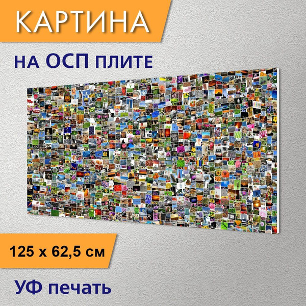 Горизонтальная картина "Мозаика, картинки, фотографии" для интерьера на ...