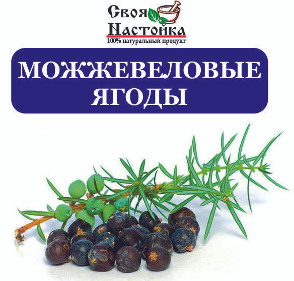Ягоды можжевеловые сушеные. Можжевельник ягода 100 гр. - купить с ...