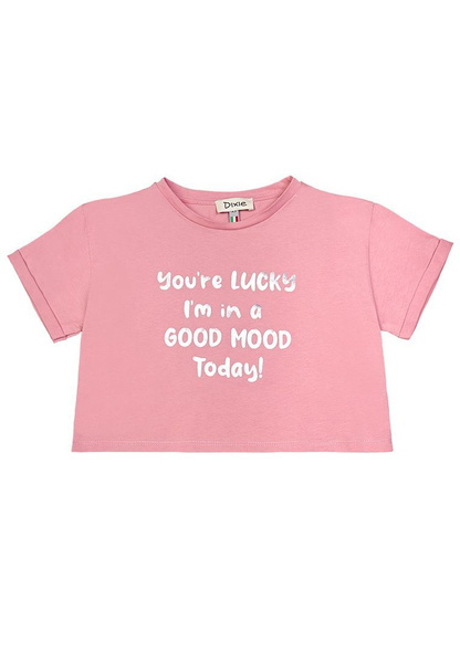 Футболка Dixie, размер 116, цвет розовый, 100%хлопок - купить по ...