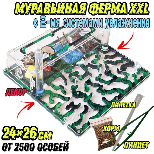 Большая муравьиная ферма "Мята" XXL lux 26*24см с 2-мя системами ...