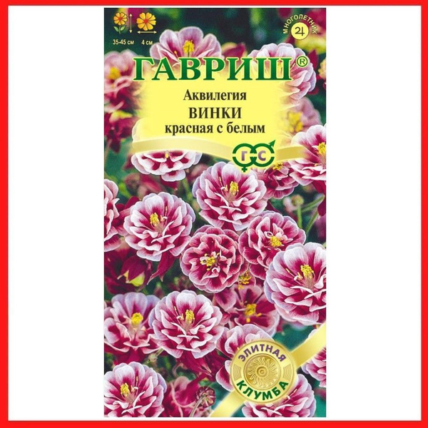 Аквилегии Гавриш Аквилегия Алтайский гигант, культурная_розовый ...
