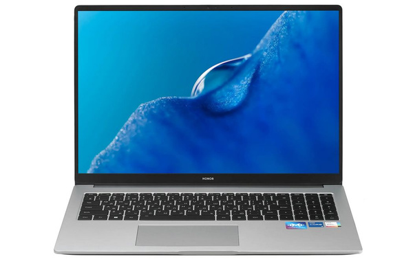 Ноутбук Honor MagicBook X 16 Pro BRN-G56 (5301AFSD), серебристый купить ...