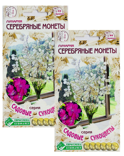 Сухоцветы Евросемена Сухоцветы_2_Лунария СЕРЕБРЯНЫЕ МОНЕТЫ - купить по ...