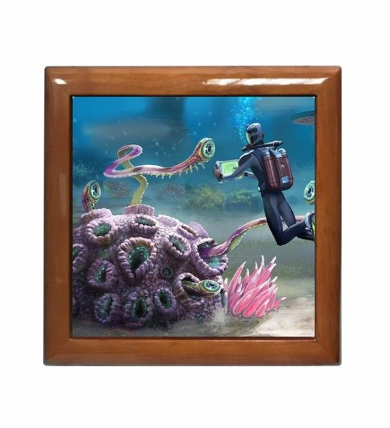 Классическая шкатулка Универсальная Mewni-Shop "Subnautica, Сабнатика ...