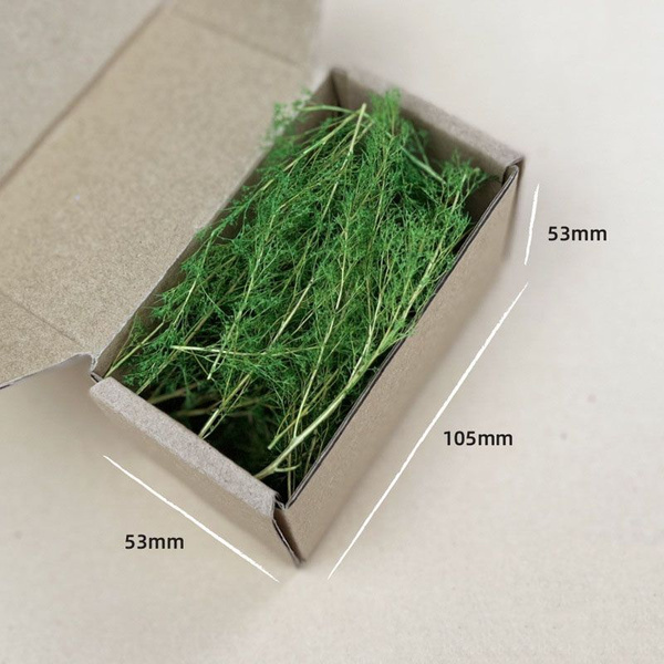 Модель сена Diy, растительного материала из квиноа 1Box - купить с ...