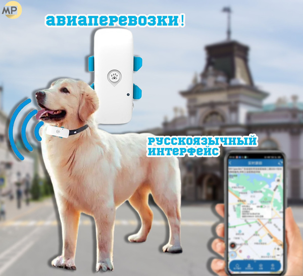 GPS Трекер для собак 4 LTE,Система русского языка - купить с доставкой ...