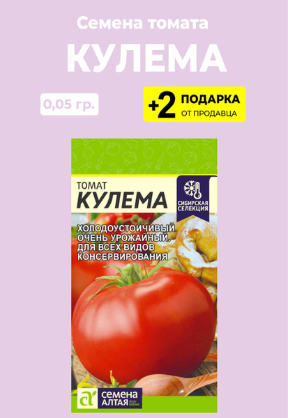 Семена овощей :: томат КУЛЕМА - От посадки до уборки