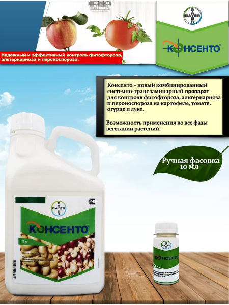 Консенто - купить с доставкой по выгодным ценам в интернет-магазине ...