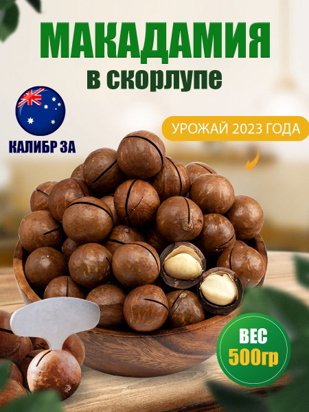 Макадамия орех в скорлупе 500гр - купить с доставкой по выгодным ценам ...