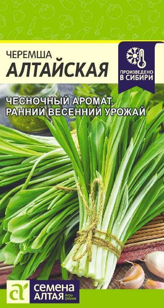 Черемша Семена Алтая Лук Черемша - купить по выгодным ценам в интернет ...