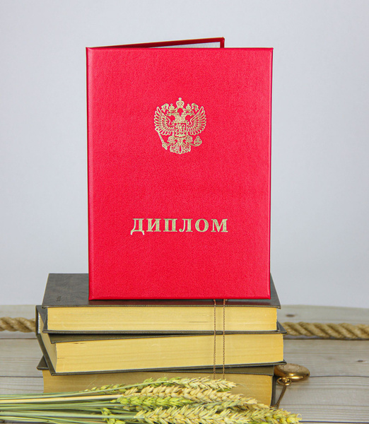 Обложка для документа об образовании А4 - Диплом, красный с гербом, 160 ...