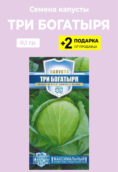 Лучшие сорта капусты для заготовок и интересные рецепты: дачнику на заметку Анто