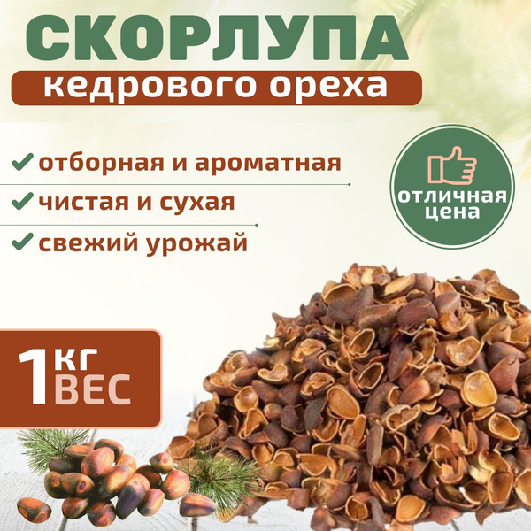 Скорлупа кедрового ореха 1кг отборная с Алтая, новый урожай - купить с ...