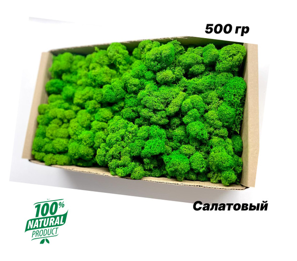 Стабилизированный мох FreshMoss Мох, 500 гр купить по выгодной цене в ...