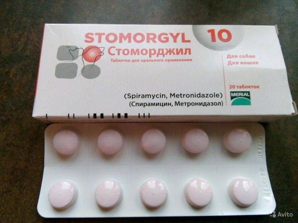 Стоморджил 10 мг(10 таблеток)1 блистер. - купить с доставкой по ...