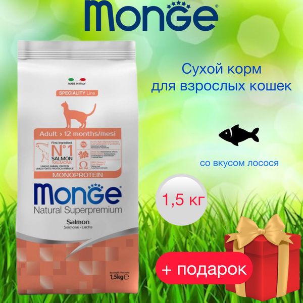 Monge сухой корм для взрослых кошек с лососем, 1,5 кг - купить с ...