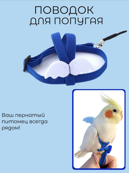Поводок шлейка для попугая и других птиц - купить с доставкой по ...