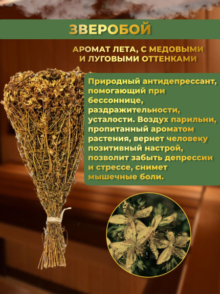 Веник для бани зверобой 1шт GoldGard, банные принадлежности травы для ...