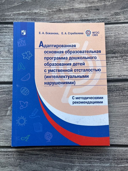 Екжанова. Адаптированная основная образоват. программа дошкольного ...