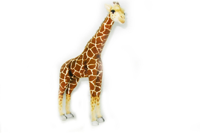 hansa giraffe