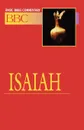 Basic Bible Commentary Isaiah Volume 12 - Abingdon Press, Lynne M. Deming