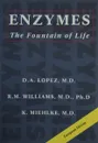 Enzymes. The Fountain of Life - K. Miehlke, R. M. Williams, D. A. Lopez