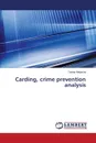 Carding, Crime Prevention Analysis - Meijerink Tristan