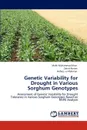 Genetic Variability for Drought in Various Sorghum Genotypes - Malik Muhammad Khan, Zahid Akram, Hafeez -Ur-Rahman