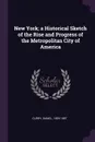 New York; a Historical Sketch of the Rise and Progress of the Metropolitan City of America - Daniel Curry