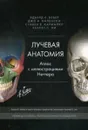 Лучевая анатомия. Атлас с иллюстрациями Неттера - Вебер Э., Виленски Дж.А., Кармайкл С.У., Ли К.С.