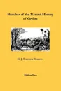 Sketches of the Natural History of Ceylon - James Emerson Tennent