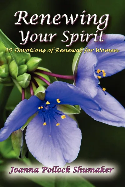 Обложка книги Renewing Your Spirit, Joanna Pollock Shumaker