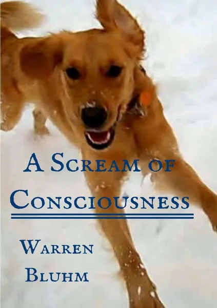 Обложка книги A Scream of Consciousness, Warren Bluhm