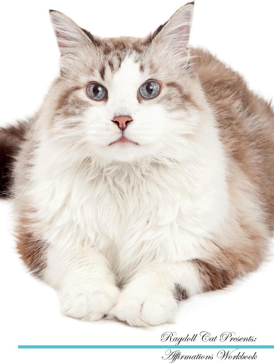 <b>Ragdoll</b> <b>cat</b> affirmations workbook <b>ragdoll</b> <b>cat</b> presents. positive and loving...