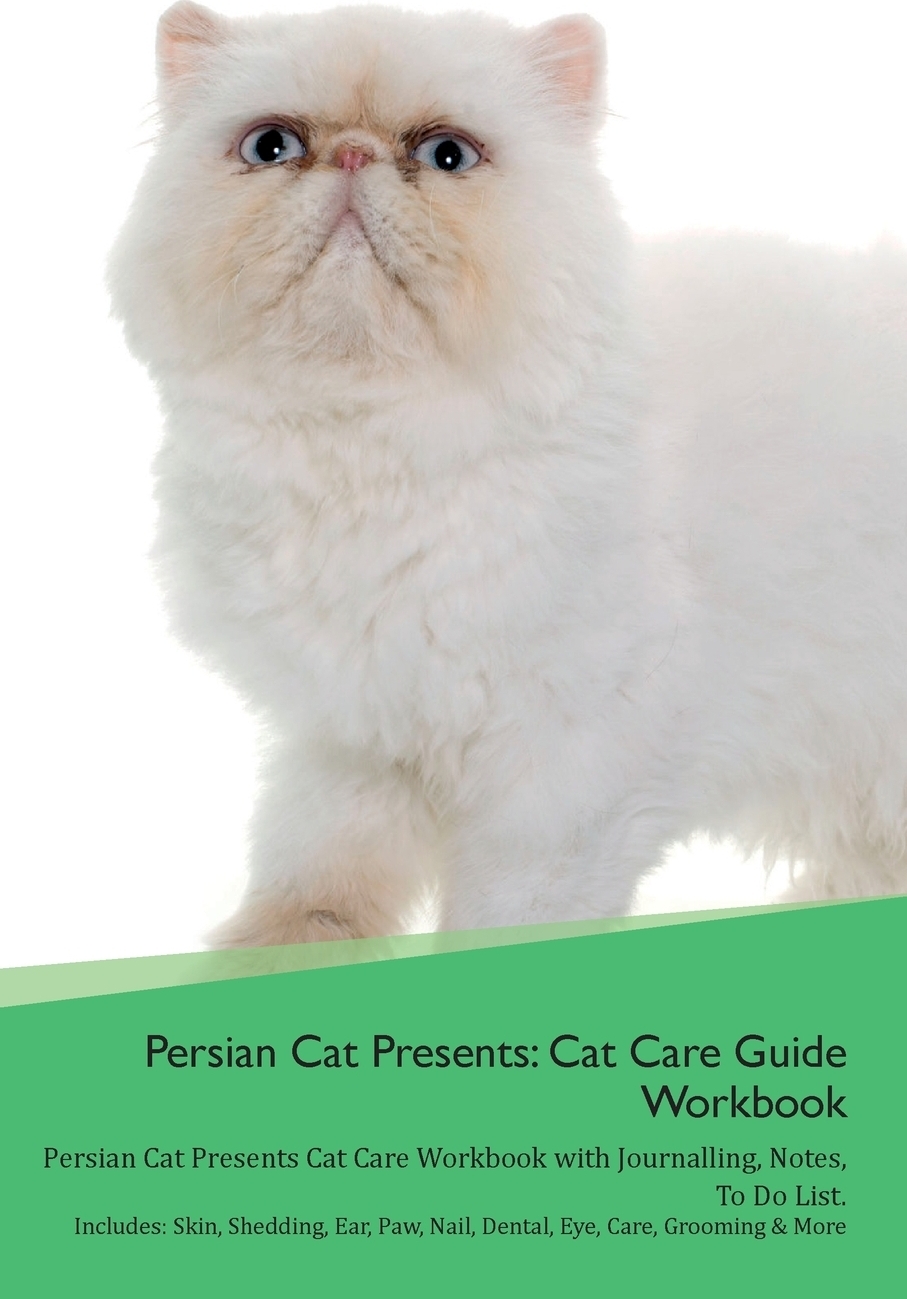Код cats productivity tips. Код cats productivity tips