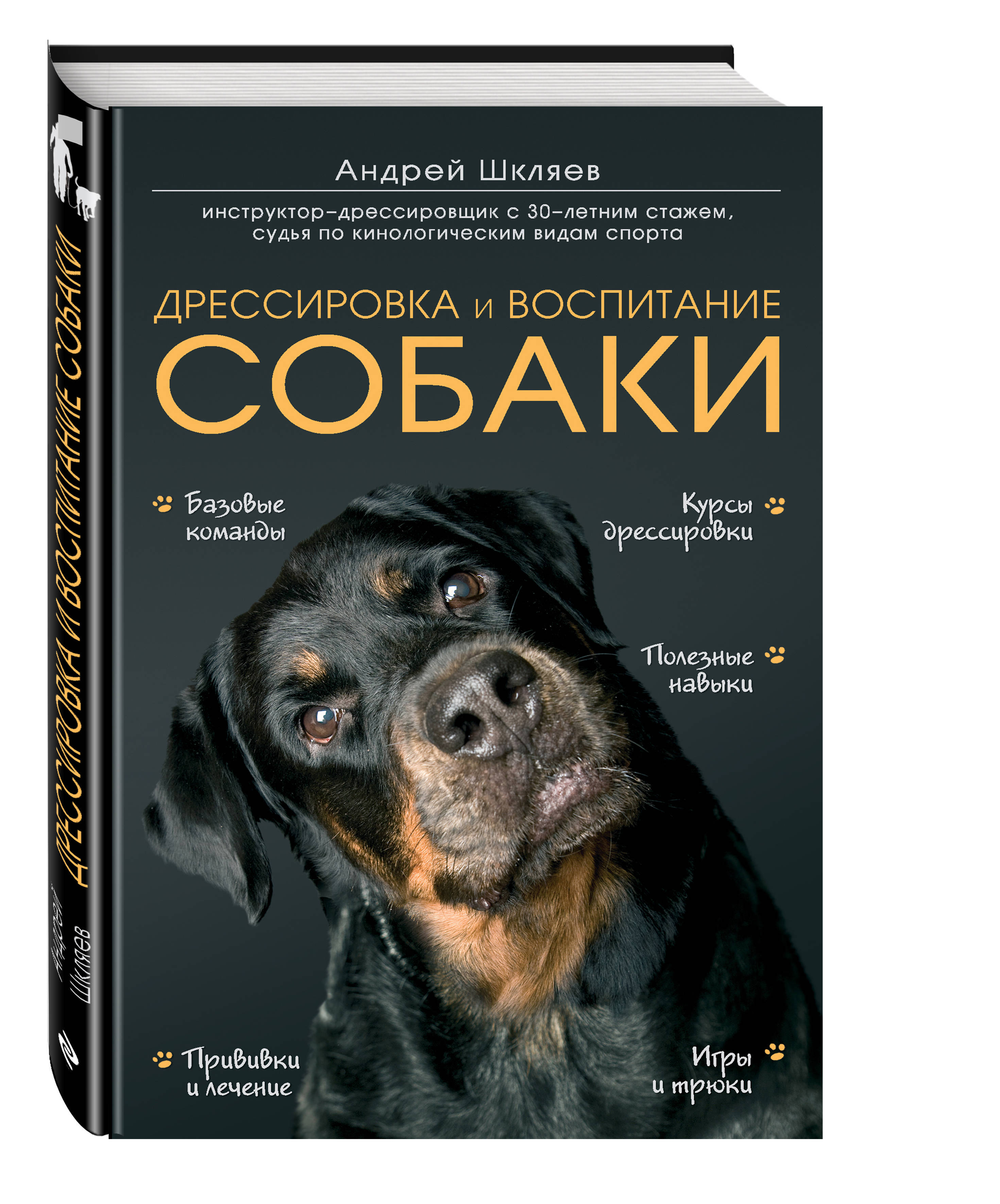История собак книги. Книга воспитание и дрессировка собаки. Собака с книжкой.