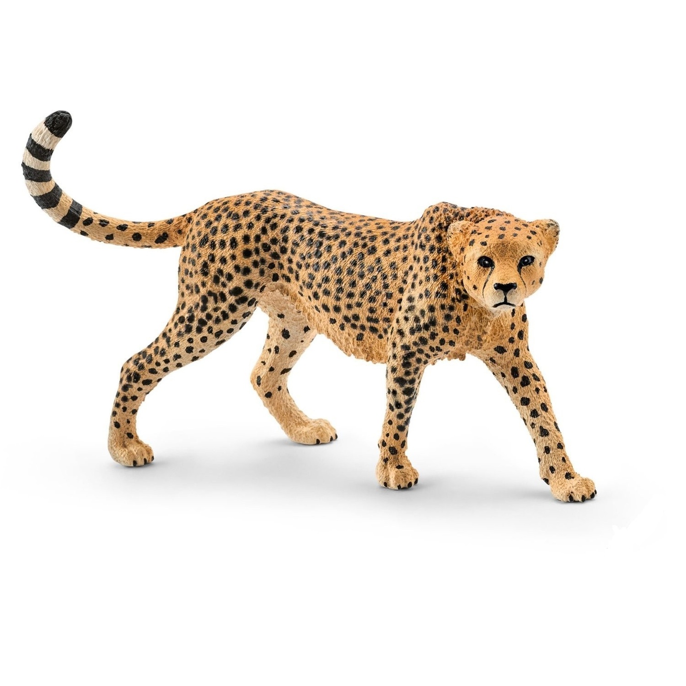 Schleich 14746 Фигурка Гепард самка - купить с доставкой по выгодным ценам  в интернет-магазине OZON (256422818)