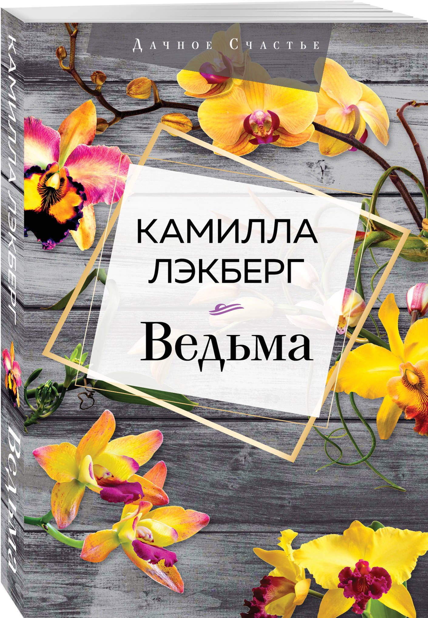 Книги Про Ведьм Купить