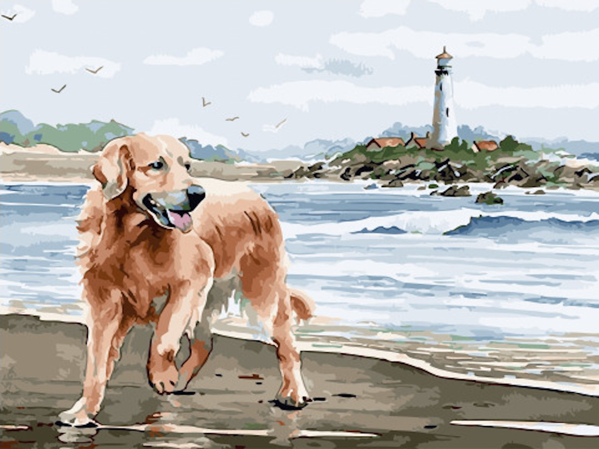 Собака на берегу картина