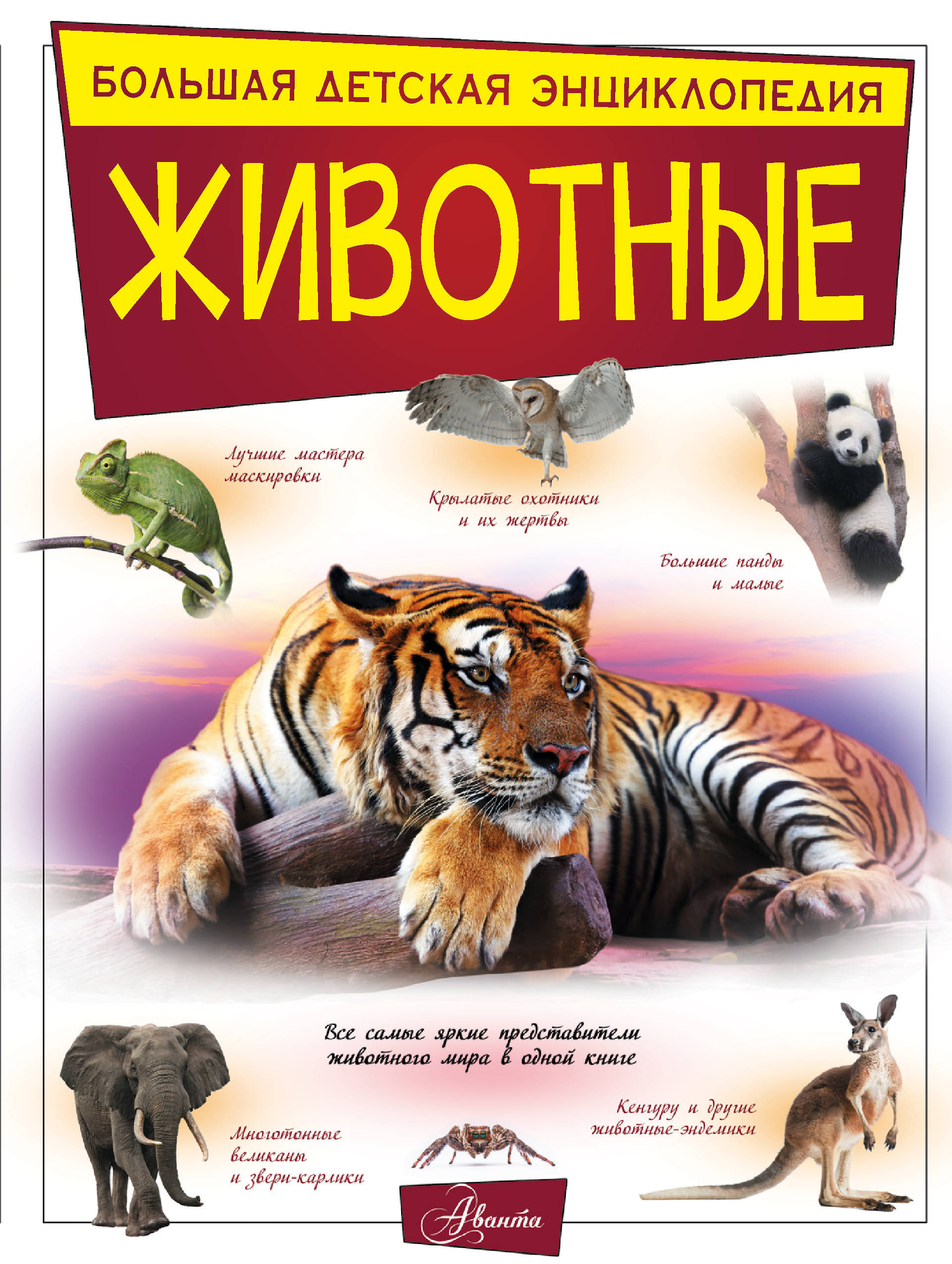 Книги про животных. Большая детская энциклопедия животных Аванта. Большая детская энциклопедия: животные. Детская энциплопедияживотные Аванта. Энциклопедия животные Издательство Аванта.