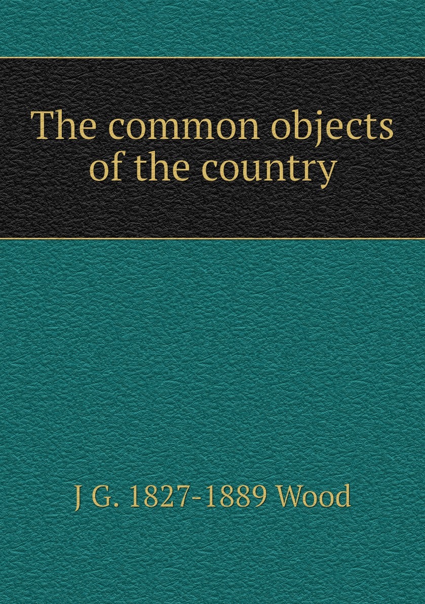 Common objects