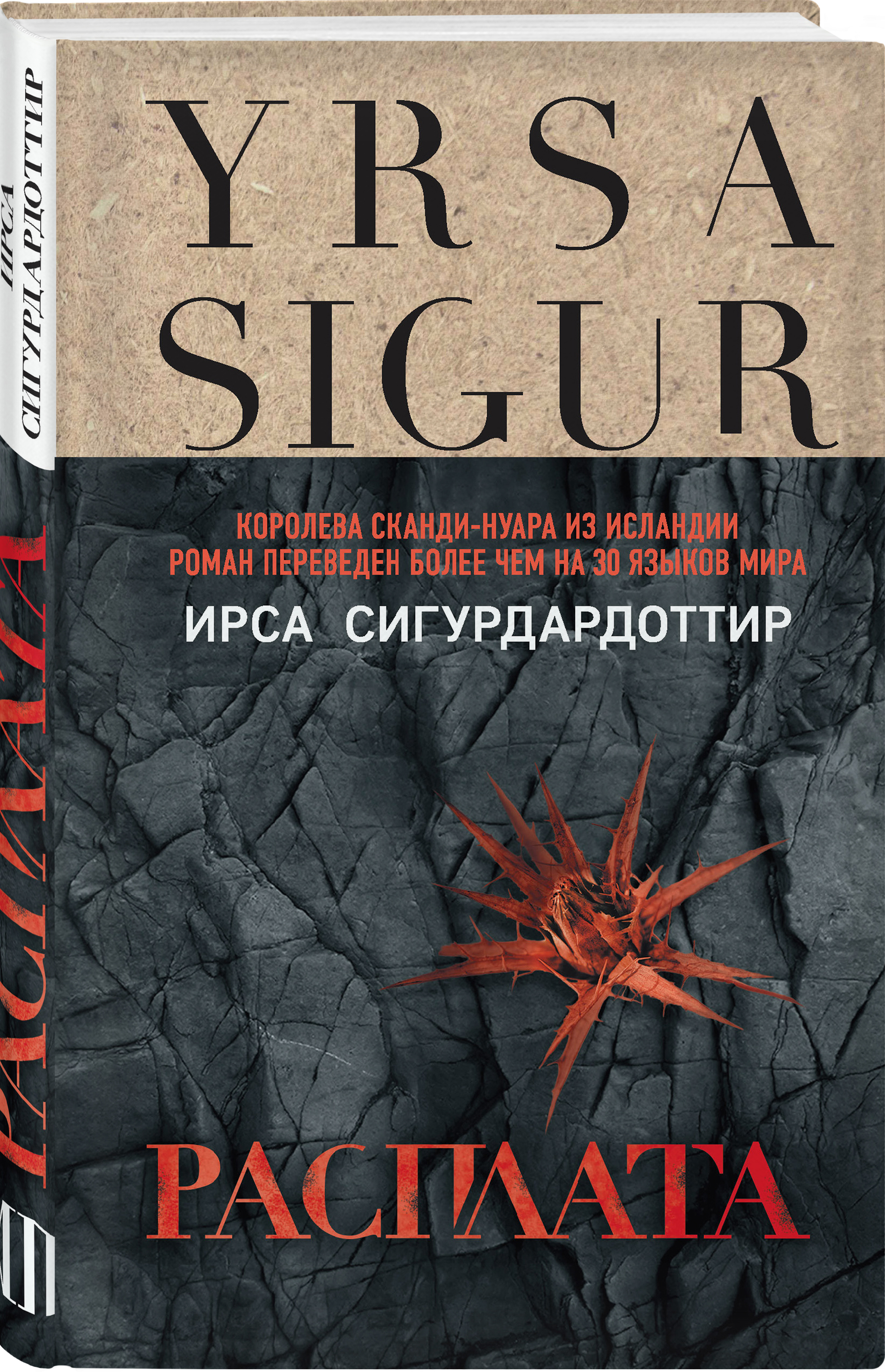 Расплата книга. Ирса сигурдардоттир "днк". Ирса сигурдардоттир прощение. Ирса сигурдардоттир "днк". Ирса сигурдардоттир "днк".